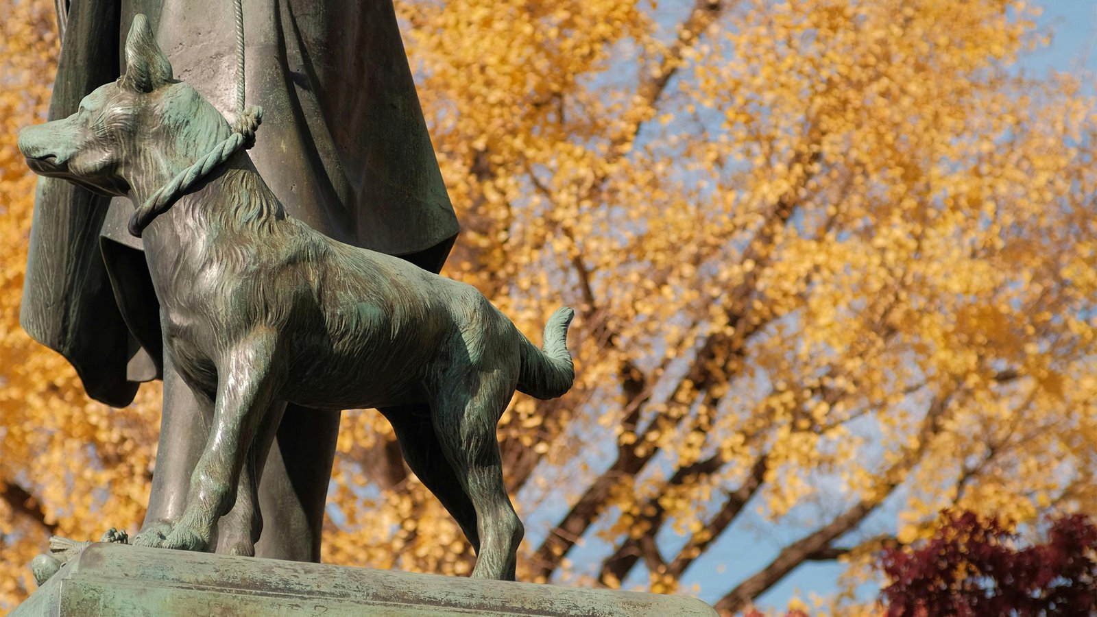 Cherry Blossom Tree Memorial Garden