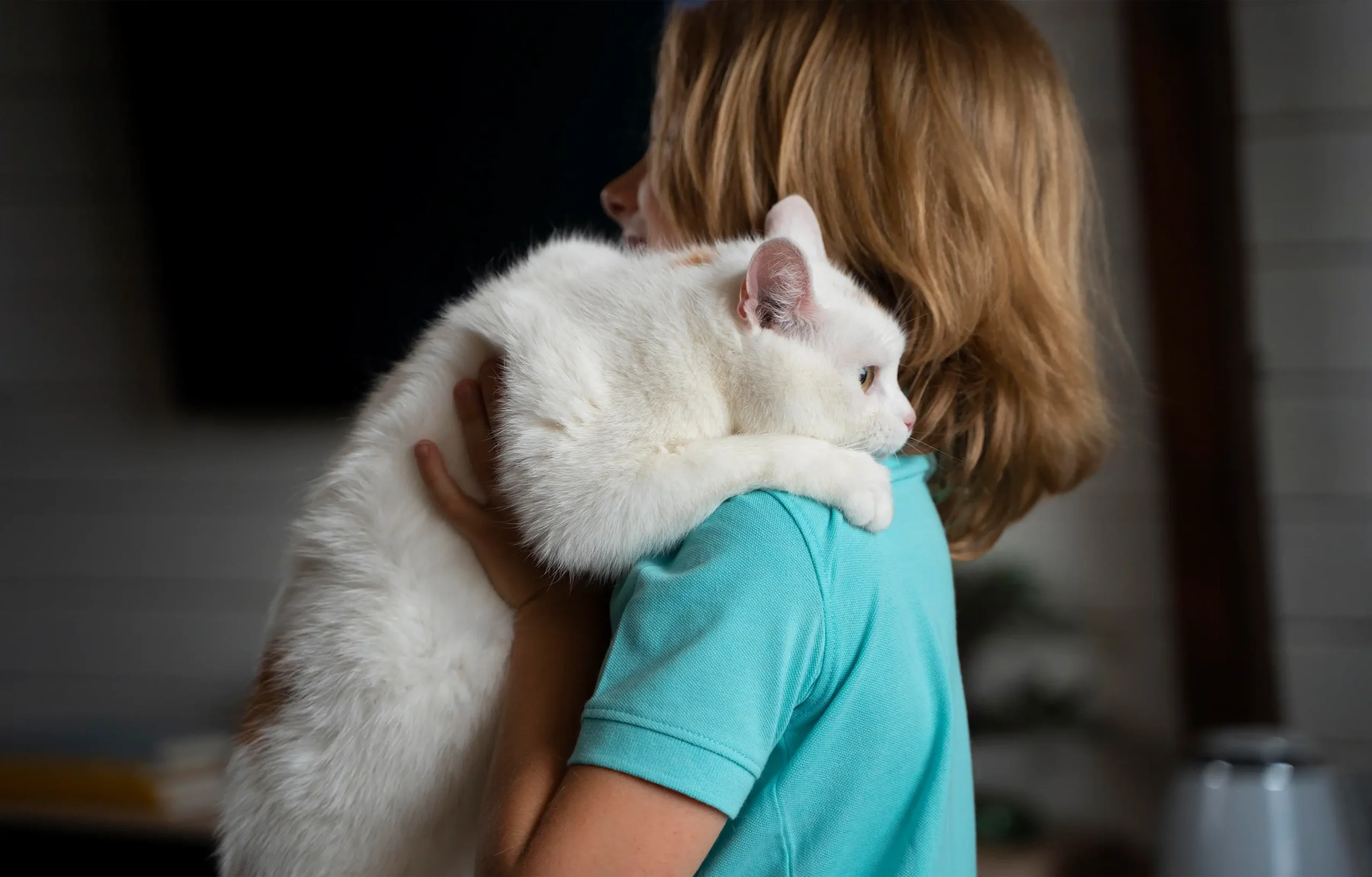 After finding the lost cat, the owner hugs the cat