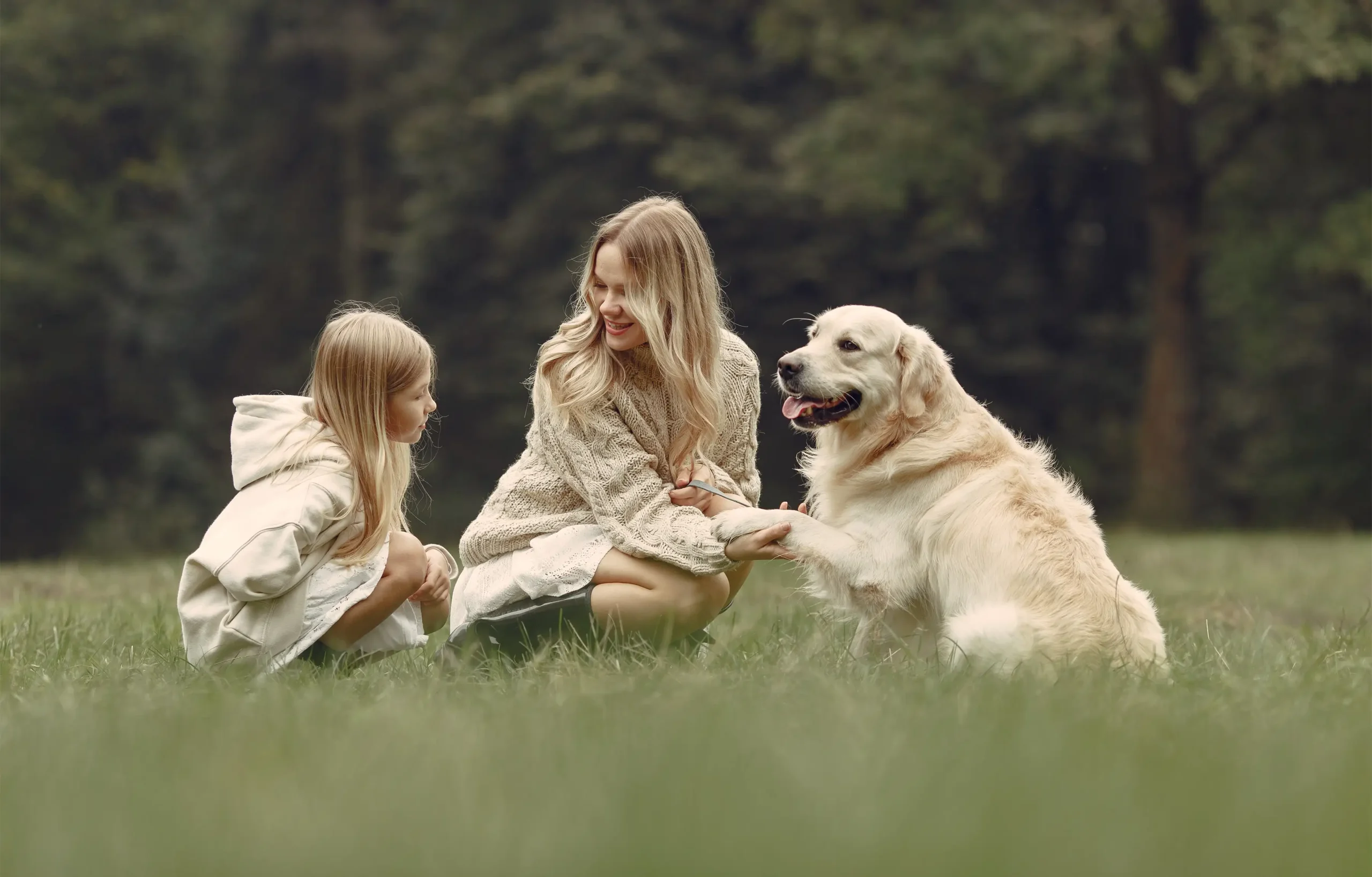A mother and daughter share a joyful moment outdoors with their golden retriever, capturing the warmth and emotional bond between humans and their dog.