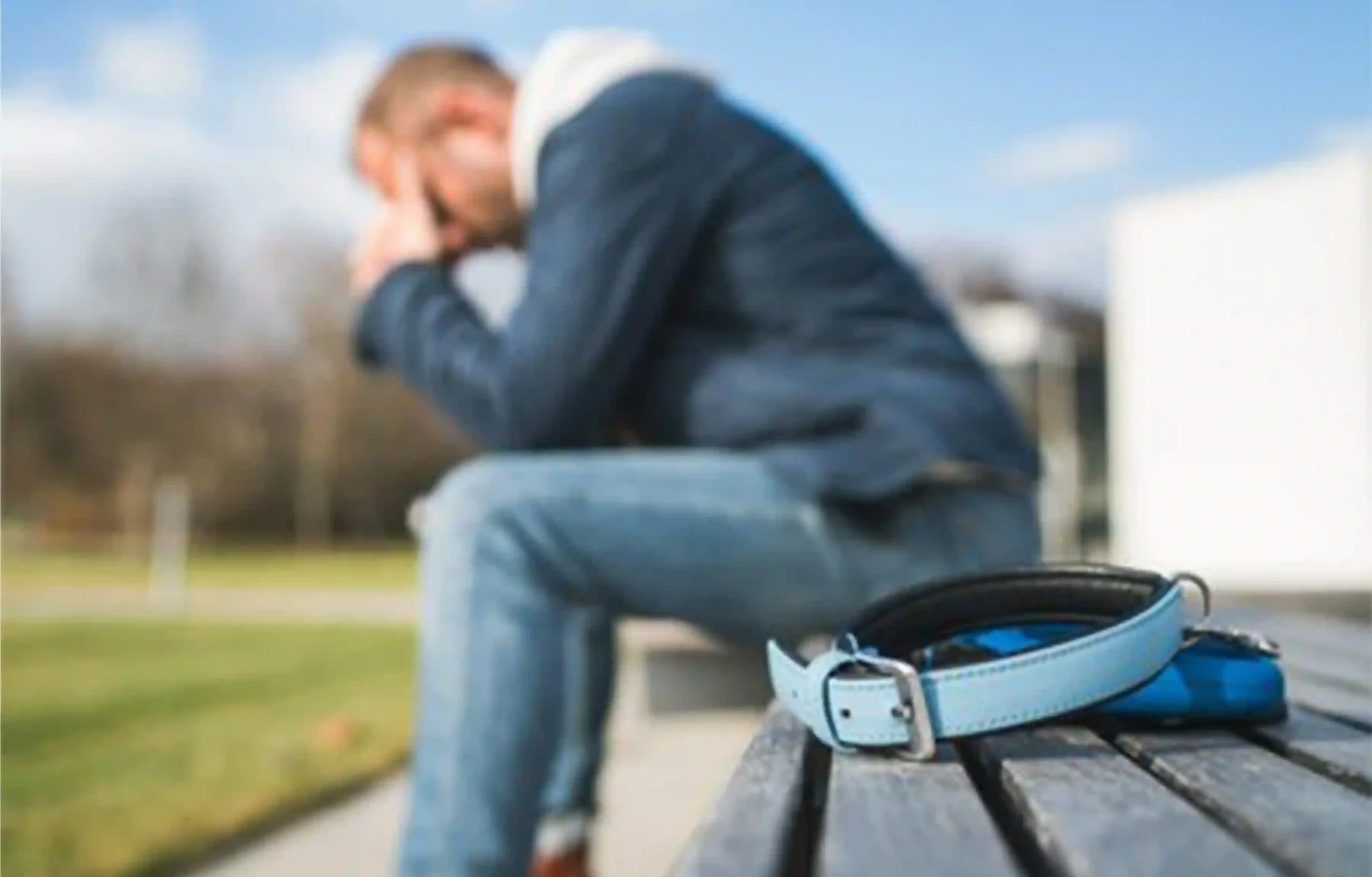 Grieving man holding dog collar - normal grief after losing a dog